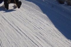 Gara2520Slitte2520a2520Sarentino252025202520053